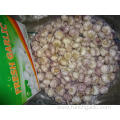 Hot Sale Fresh Garlic